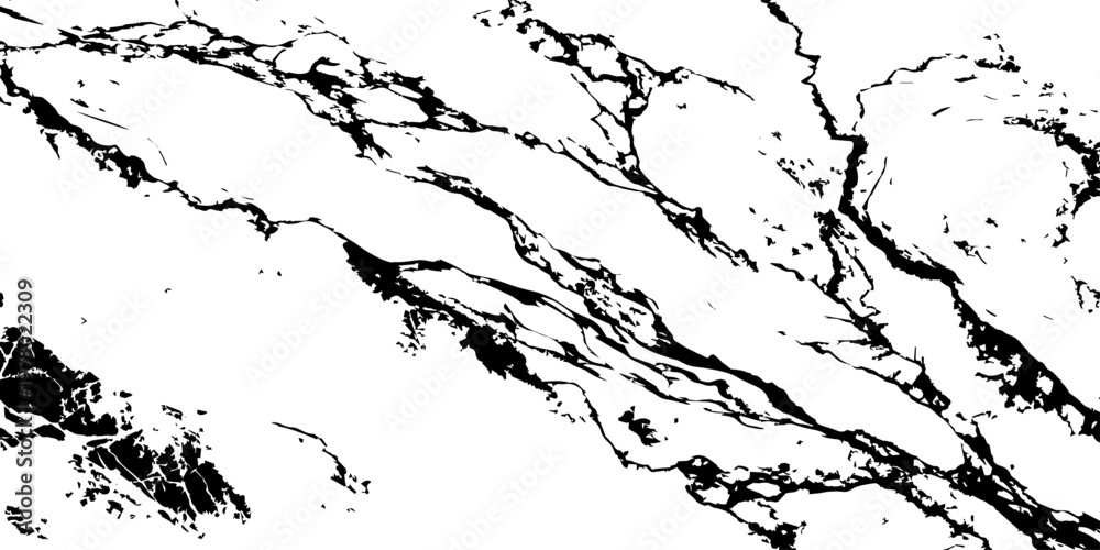 Obraz premium White Marble Texture Background with Bold Black Veins Natural Luxury Stone Pattern.