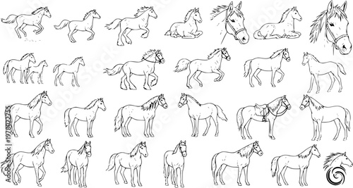 Detailed Hand-drawn Horse Drawings Collection. Black and white line art sketches of horses in various poses, including foals, running, standing, and head portraits. Equestrian vector illustration set.