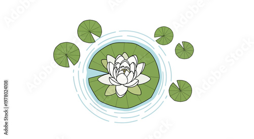 White water lily flower blossoming on green lily pad surrounded by ripple circles in pond vector illustration art