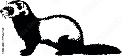Ferret silhouette minimal black vector illustration for wildlife animal pet mammal nature and domestic design concept use