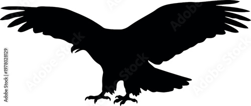 Flying eagle silhouette minimal black vector illustration for wildlife bird predator wings spread freedom symbol and nature design concept use