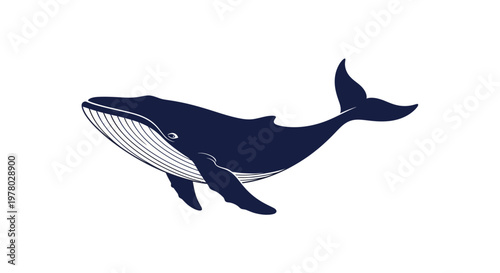 Elegant vector illustration of a majestic blue whale, showcasing the grace and power of ocean wildlife, ideal for environmental and marine-themed projects and designs
