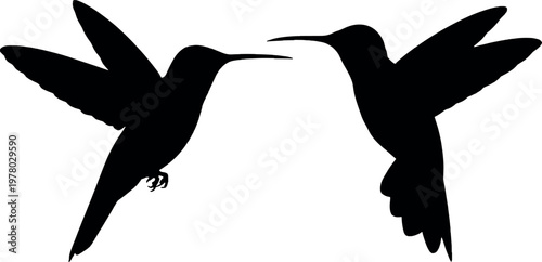  Hummingbird silhouettes pair minimal black vector illustration for wildlife bird flying nectar feeding and nature design concept use