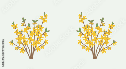 Two forsythia bushes with bright yellow flowers in full bloom vibrant spring floral illustration on a light beige background perfect for seasonal designs