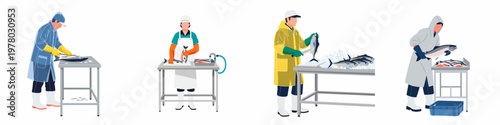 Set of flat vector illustrations showing fishery factory workers processing, cleaning, and packing fresh fish on industrial metal tables, isolated on white background.