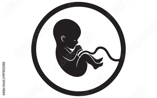 Minimalist Continuous Line Drawing of Pregnancy – Human Fetus Development in Womb Vector IllustrationWeb