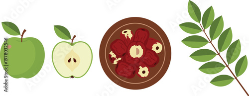 Jujube fruit vector illustration set featuring green apple like jujubes sliced fruit dried dates in bowl and leafy branch isolated