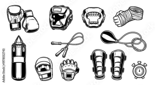 Professional Boxing and Mixed Martial Arts Training Gear Collection