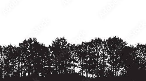 Salad with chicken and greens sketch vector, food and drink transparency vintage illustration.