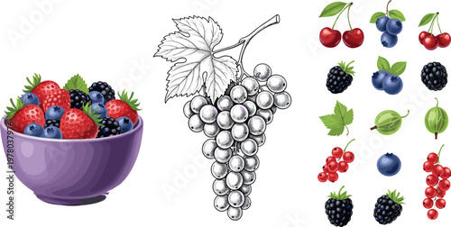 Hand drawn mixed berries collection with grapes strawberry blueberry blackberry currant and bowl illustration set isolated on white background