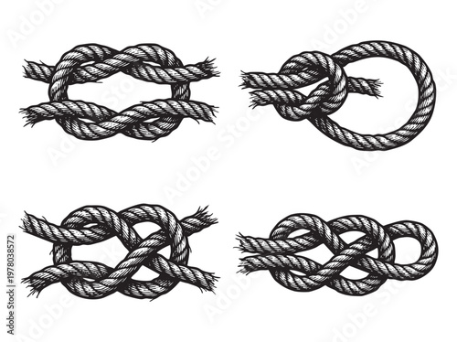 Collection of four nautical knots illustrated on transparent background vector art.