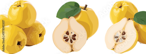 Pet food bowls with dry kibble and bone icons, colorful dog feeding set with seamless pattern for animal care design