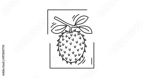 Soursop Fruit Line Art Icon: Tropical Exotic Food, Vector Illustration