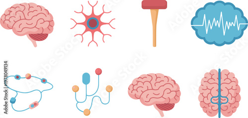 Brain anatomy and neurological symbols are organized into a collection to show the complexity of the human mind and the various tools used for studying neural pathways and cognitive functions today.