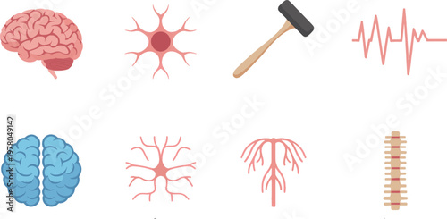 Brain and neurological icons featuring neurons and a reflex hammer are presented as flat graphics to depict the study of the human nervous system and standard diagnostic procedures in neurology.