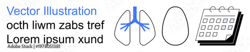 Medical, anatomy, scheduling, education, healthcare, respiratory system. A set of visuals including lungs, a calendar and abstract shapes. Medical and anatomy usage with a focus on healthcare