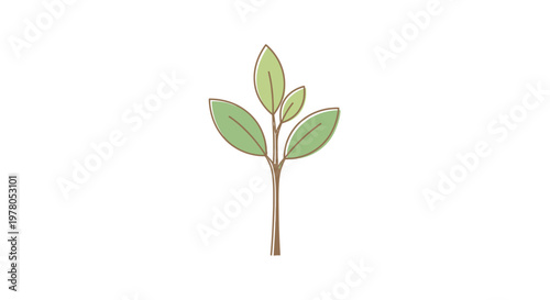 Canvas Print Small green plant with leaves growing.