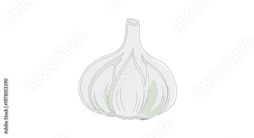 Detailed illustration of a garlic bulb.