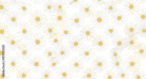 Dandelion seeds on white background.