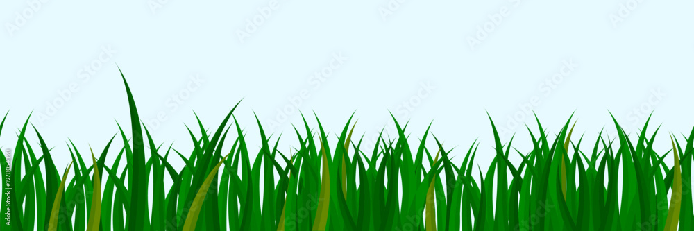 Fototapeta premium Green meadow grass seamless border with lush lawn blades and wild vegetation in cartoon vector illustration for spring garden landscape background with natural turf pattern and field panorama