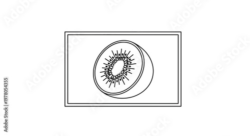 Kiwi Slice Illustration: Fresh Fruit Cut in Half, Seeded Core, Vector Art