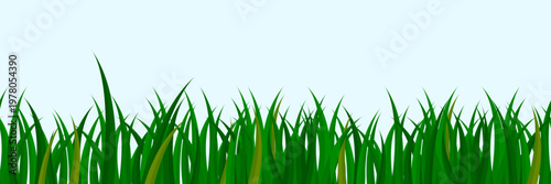 Green meadow grass seamless border with lush lawn blades and wild vegetation in cartoon vector illustration for spring garden landscape background with natural turf pattern and field panorama