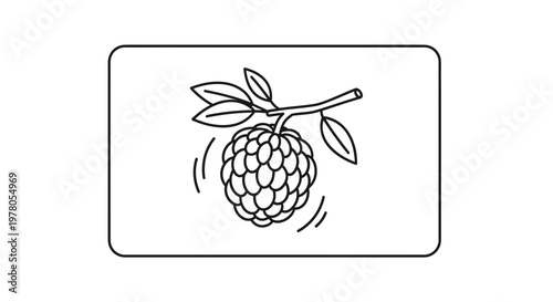 Hand-drawn illustration of a custard apple on a branch with leaves, isolated on white background