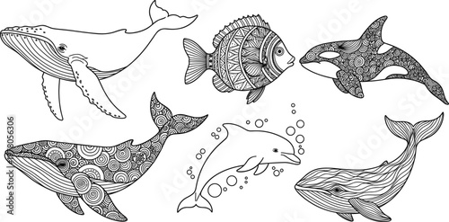 Marine Animals Line Art Illustration Set with Whale, Dolphin, Fish, Orca, and Decorative Ocean Wildlife Outline Design Collection