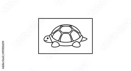 Cute cartoon turtle illustration, simple line art, white background, playful animal drawing