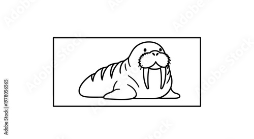 Cute cartoon walrus drawing, simple line art, isolated on white background.