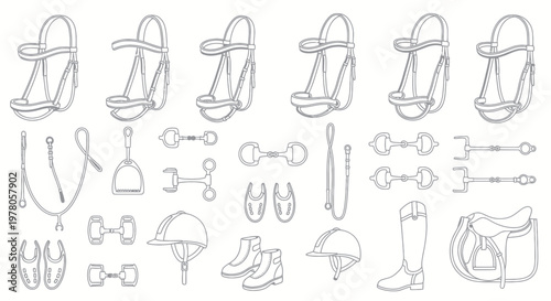 Equestrian Gear Collection: Bridles, Bits, Saddles, Boots, Helmets, and Whips