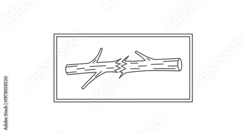 Broken Branch Symbolizing Difficulty, Obstacle, or Setback in Nature