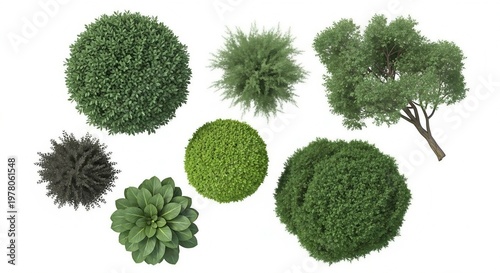 Top view garden landscape design plants trees shrubs foliage outdoor illustration photo