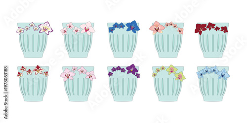 Orchid Flowers Illustration