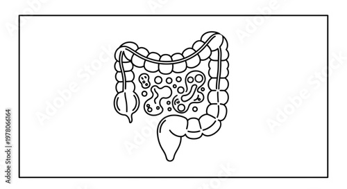 Human Digestive System: Large Intestine with Microbes and Bacteria
