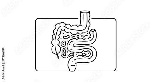 Human Digestive System with Microbes and Bacteria, Intestinal Flora Illustration