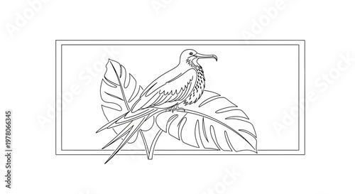 Elegant Frigatebird Perched on Tropical Leaves, Line Art Illustration
