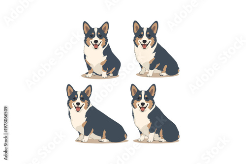 Corgi Dogs Sitting in Different Positions Illustration