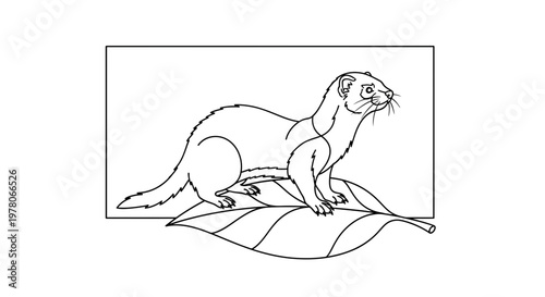 Ferret Standing on a Large Leaf, Line Drawing, Black and White