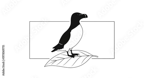 Black and white illustration of a puffin bird standing on a leaf within a rectangle
