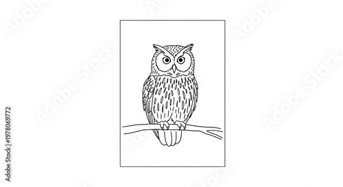 Black and White Line Art of an Owl Perched on a Branch