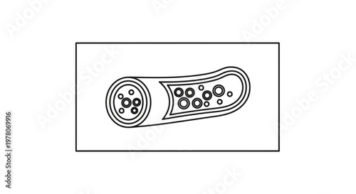 Blood Vessel Cross-Section with Red Blood Cells Flowing, Medical Illustration