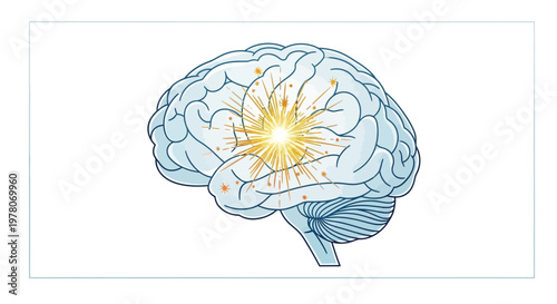 Brain activity, neural network, cognitive function, memory, learning, thinking, mind, brain health