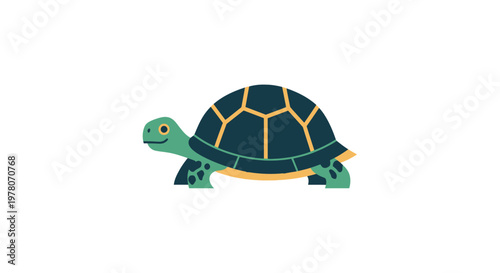 Cute Cartoon Turtle Illustration on White Background