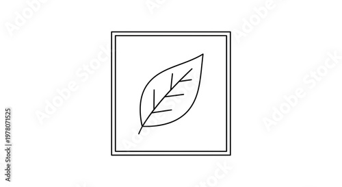 Simple Line Art of a Leaf Inside a Square Frame
