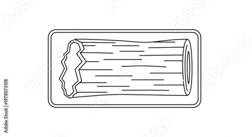 Roughly Cut Log Section with Bark Texture and Ring Detail, Isolated on White