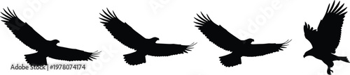 Eagle flight silhouettes, bird design, raptor illustration, wildlife icon, predator graphic, nature art, black silhouette pattern, avian vector