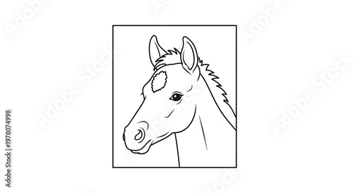 Line Art Drawing of a Horse Head with a Star Marking on its Forehead
