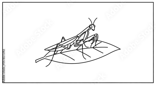 Line Drawing of Praying Mantis on Leaf, Insect Illustration, Nature Art