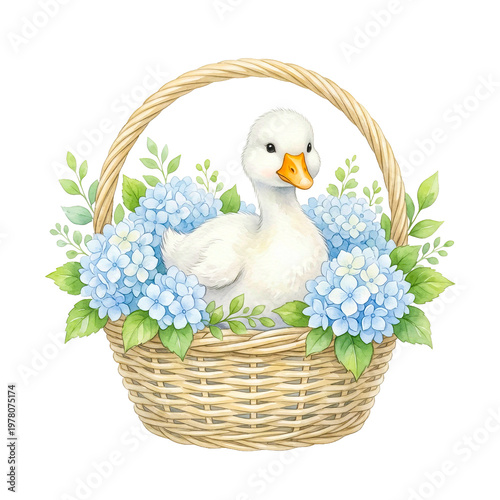 Watercolor illustration duckling in basket with hydrangeas